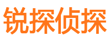 武陵调查事务所